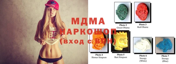 хмурый Алексин