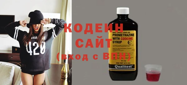 хмурый Алексин