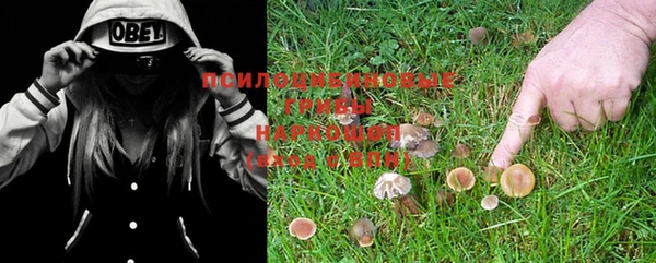 хмурый Алексин