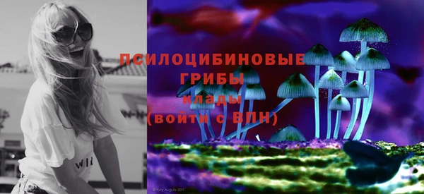 хмурый Алексин