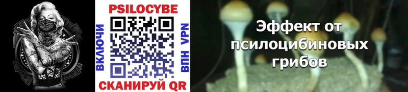 Галлюциногенные грибы MAGIC MUSHROOMS  купить закладку  Новоалтайск 