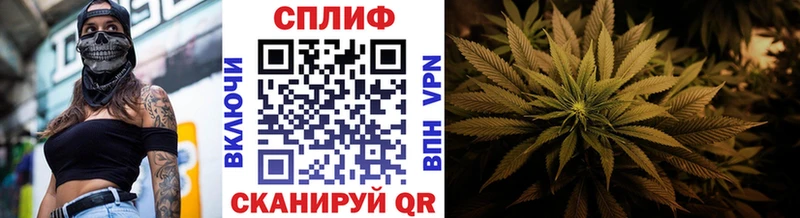 Бошки марихуана тримм  как найти закладки  Новоалтайск 